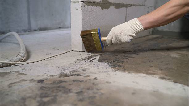 SJ Waterproofing Pros Waterproofing coverage map for Sodus, MI and surrounding area